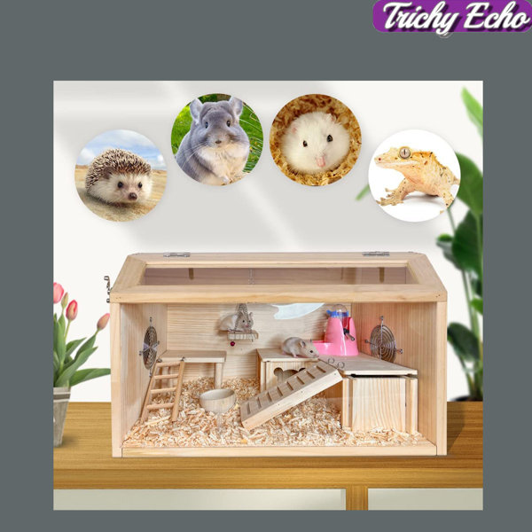 Trichy Echo 6PCS Visible Wooden Dwarf Hamster Cage SetDwarf Hamster